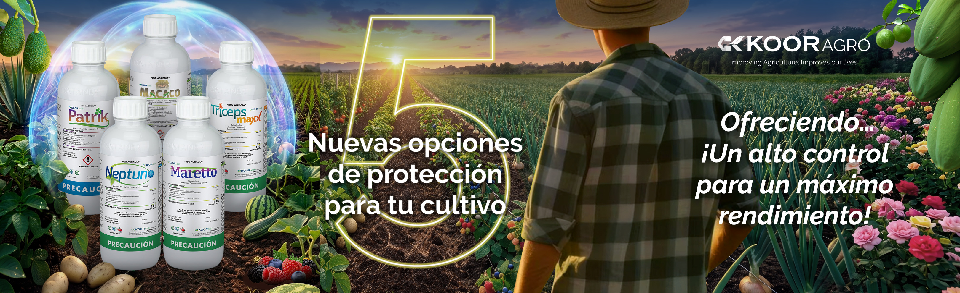 Imagen 2